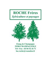 Roche Paysagiste  Salins les bains 3 